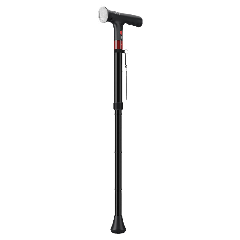 Smart Walking Stick