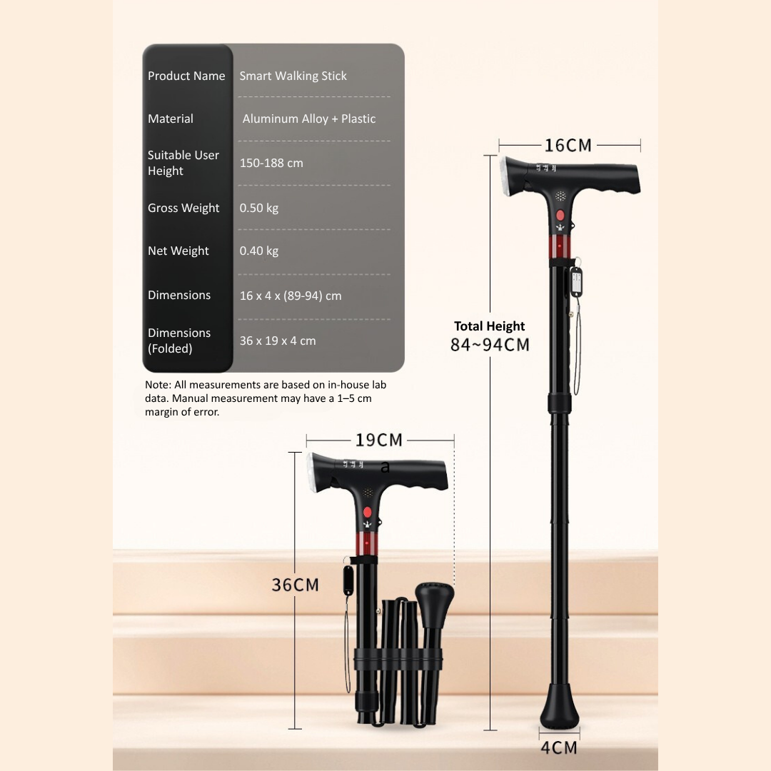Smart Walking Stick